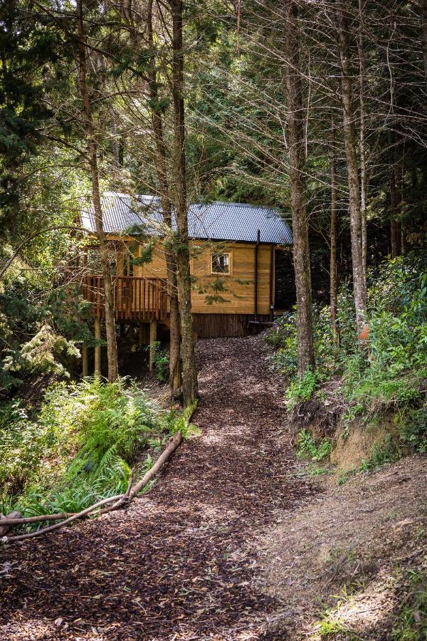 Maitai Whare Iti - Adventure Cabins & House Νέλσον Εξωτερικό φωτογραφία
