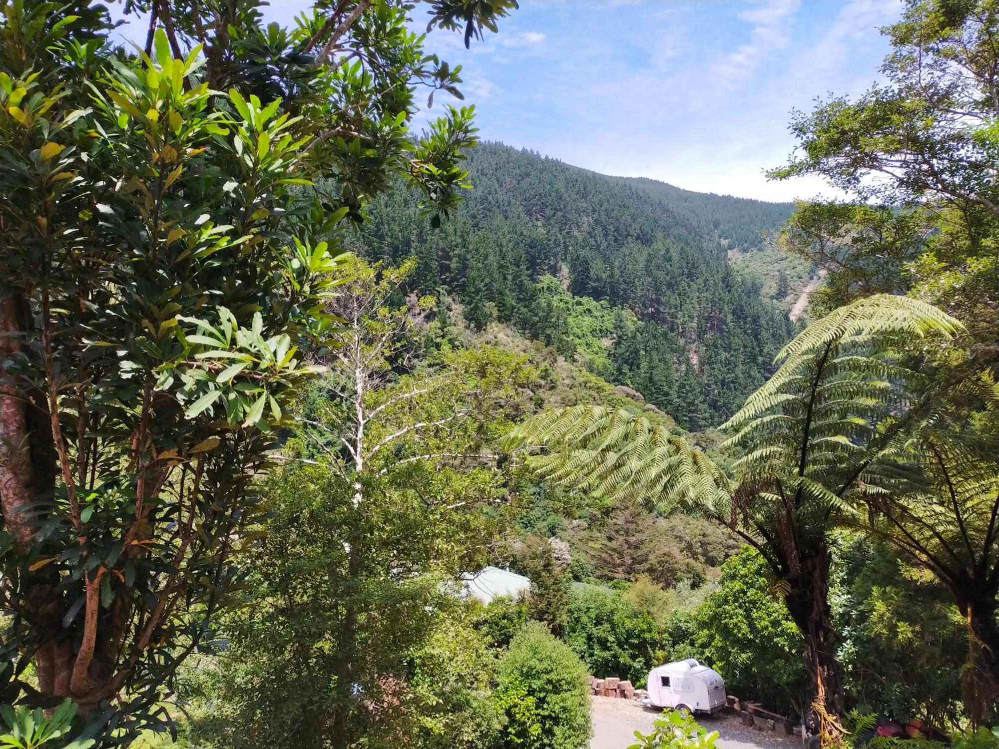 Maitai Whare Iti - Adventure Cabins & House Νέλσον Εξωτερικό φωτογραφία